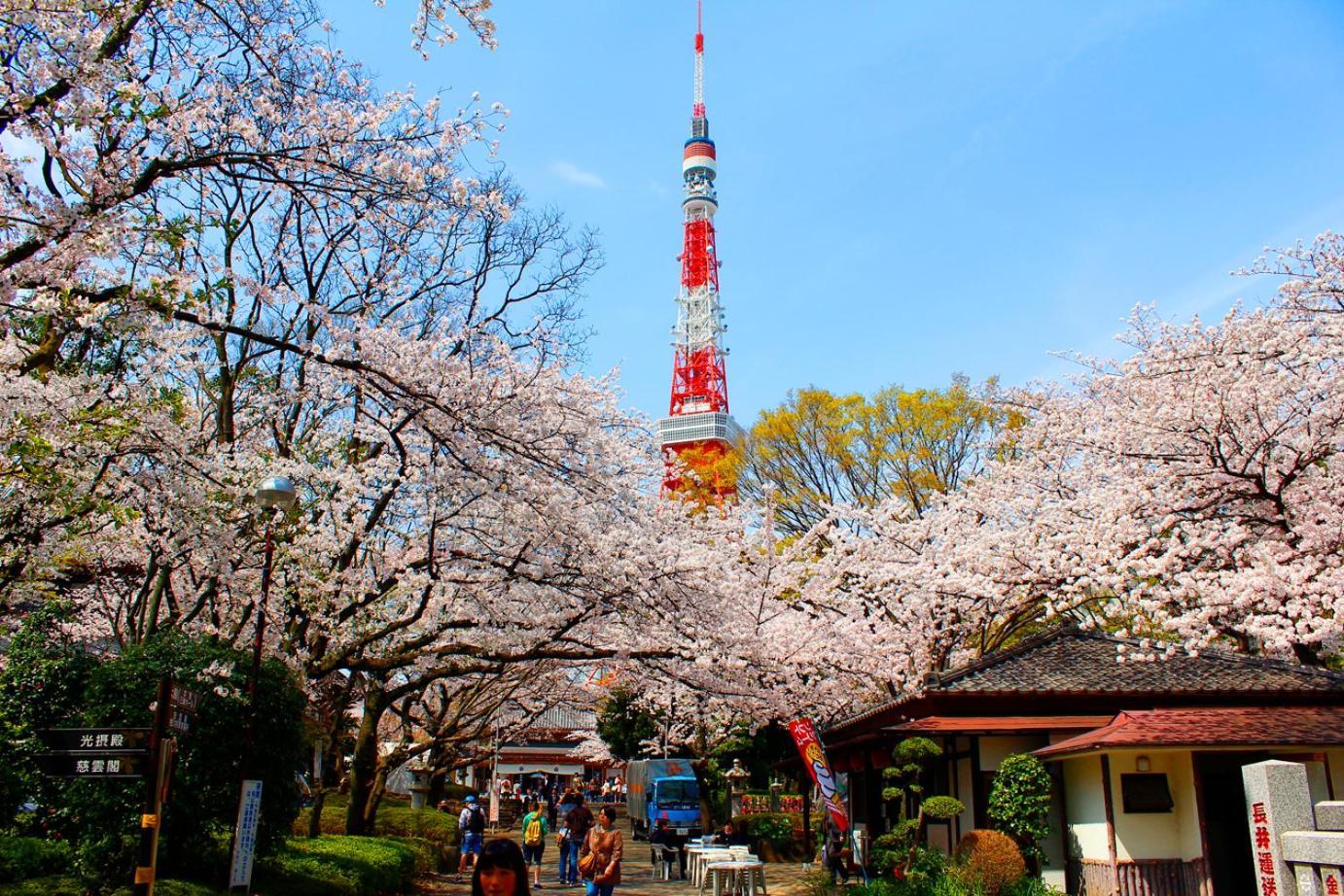 Rose Stay Tokyo Shiba Park Exteriör bild